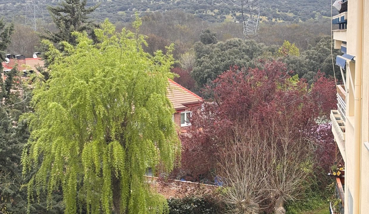 IMG-20250415-WA0112