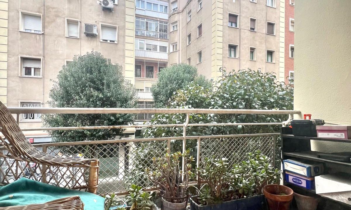 WhatsApp Image 2026-02-10 at 13.11.23 (5)